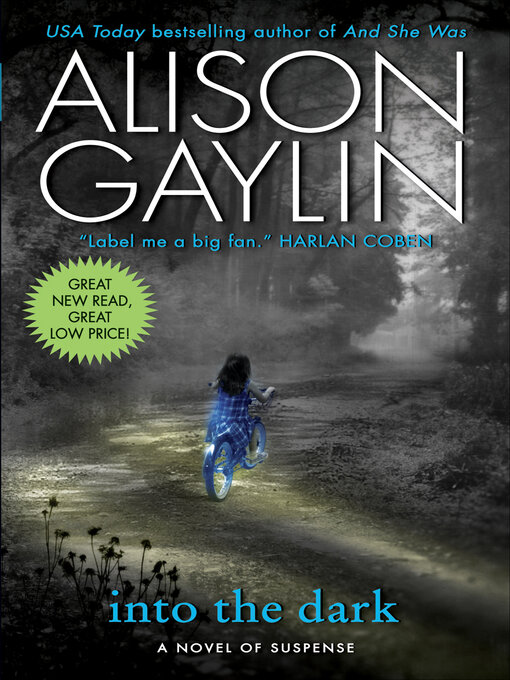 Title details for Into the Dark by Alison Gaylin - Wait list